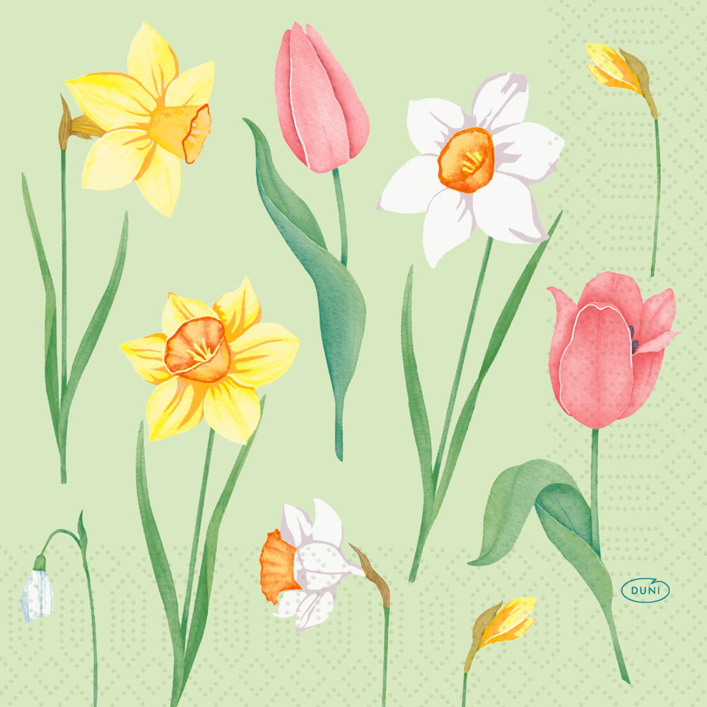 Serviet Duni Spring Melody 33x33cm 3-lags Floret,50 stk/pk
