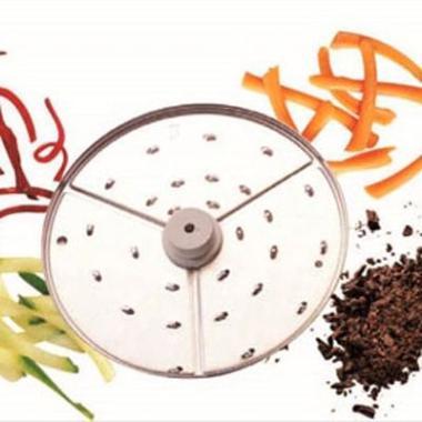 Råkostsive 6 mm til Robot Coupe R301,stk