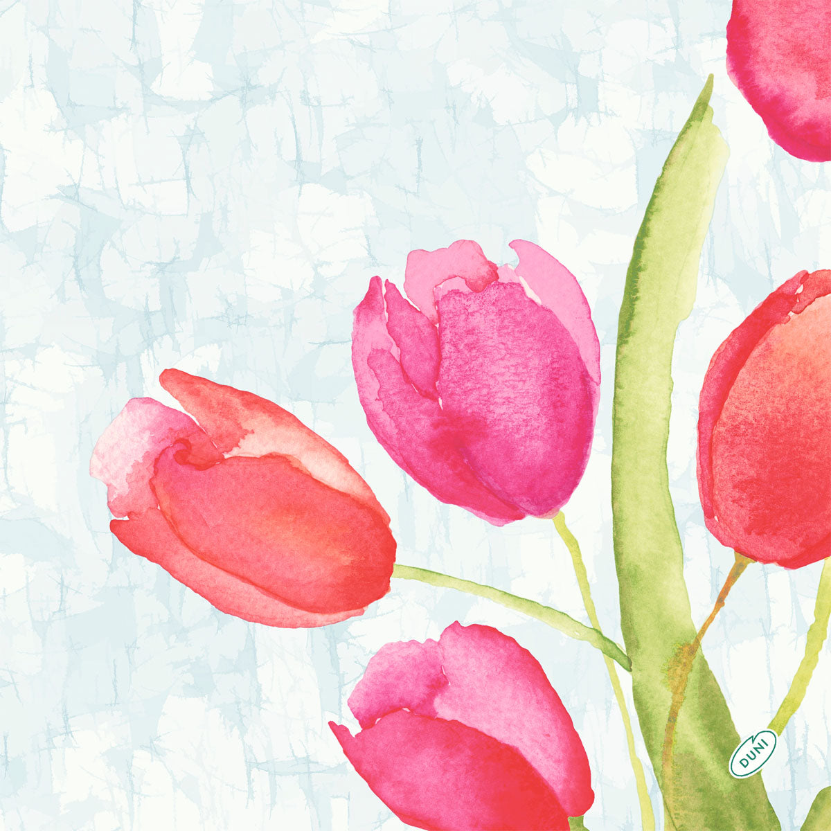 Serviet Bio Dunisoft 40x40cm Painted Tulips,60 stk/pk