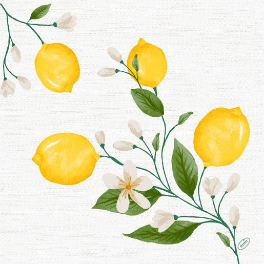 Serviet Dunisoft 40 x 40 cm Lemon Fiesta,60 stk/pk