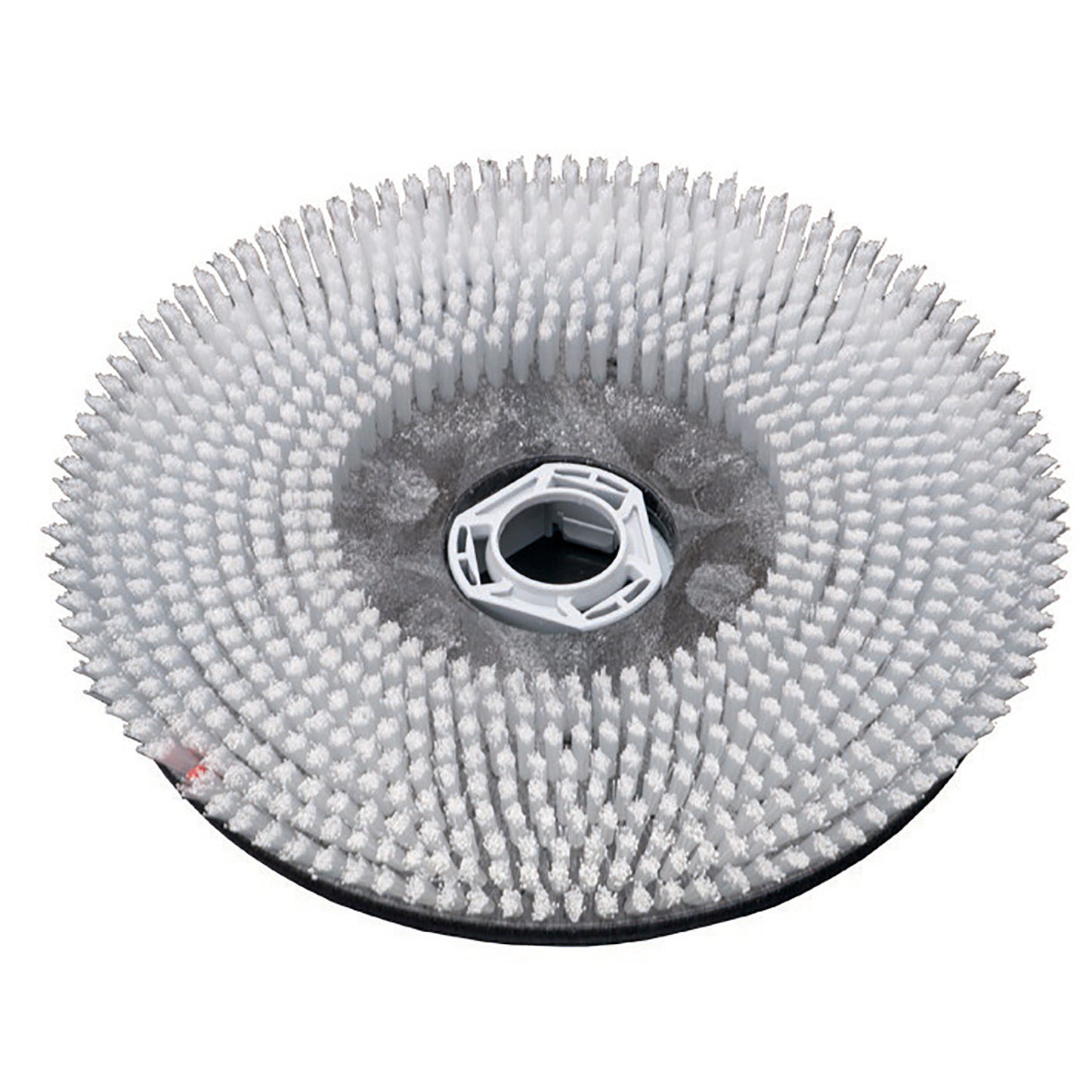 Børste Rund 17 tommer 43 cm Hård Nylon til Gulvvasker TASKI Swingo 4000,1 stk