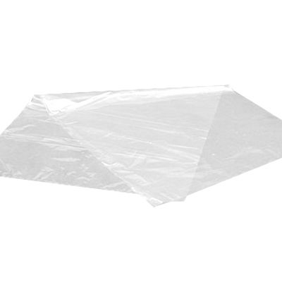 Plastpose 300x400 mm 30 my PE,1000 stk/krt