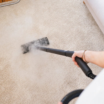 Rennoa SteamCleaner Pro damprenser med sort håndtag renser beige tæppe med damp og fugtig opsamler.